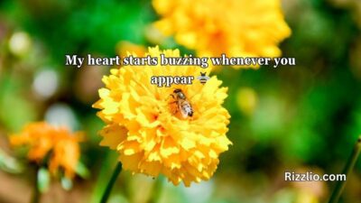 Bumble Bee Pick Up Lines