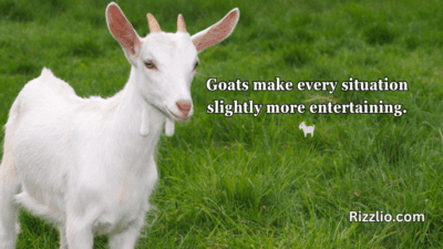 goat puns