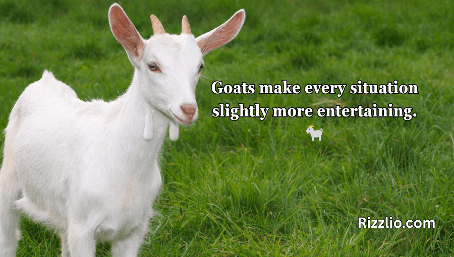 goat puns