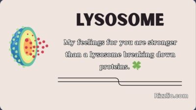 Lysosome Pick Up Lines