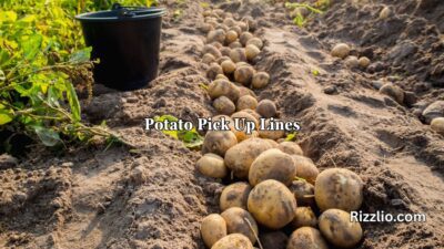 Potato Pick Up Lines