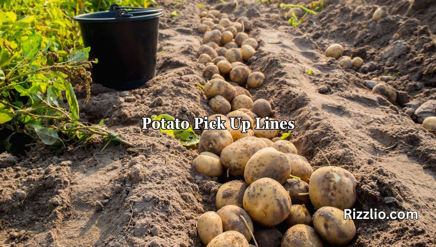 Potato Pick Up Lines