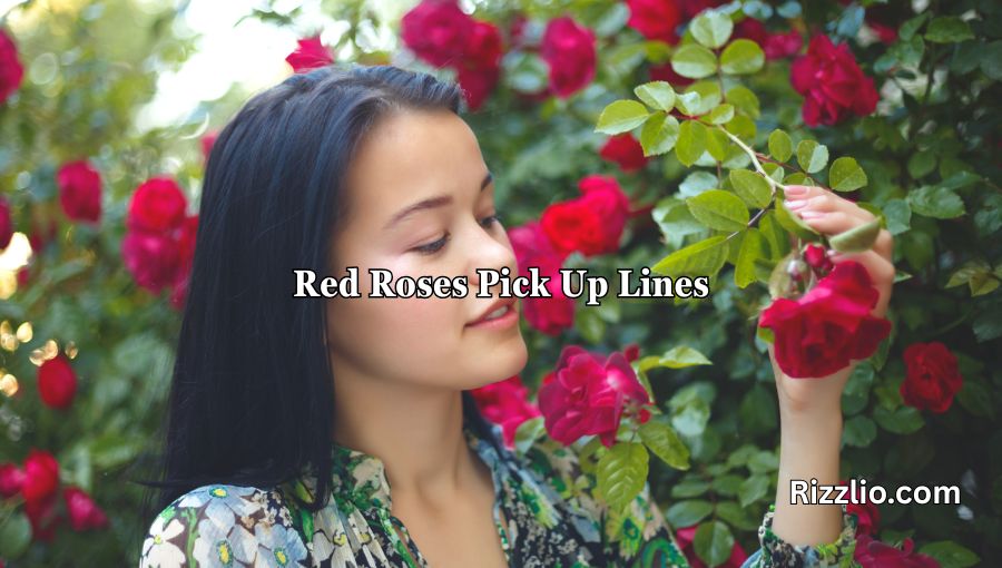 Red Roses Pick Up Lines