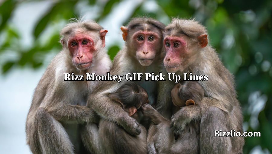 Rizz Monkey GIF Pick Up Lines