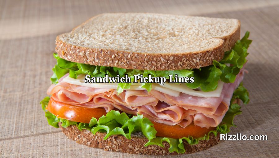 Sandwich Pickup Lines