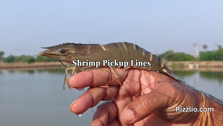 Shrimp Pickup Lines