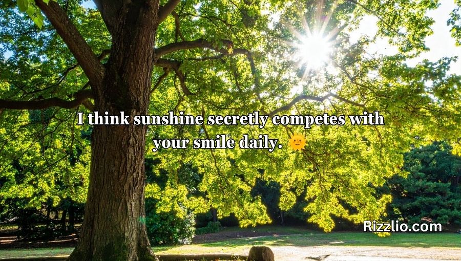 Sunlight Pick Up Lines