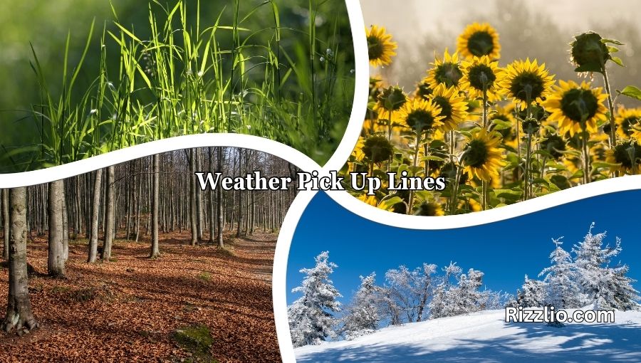 Weather Pick Up Lines