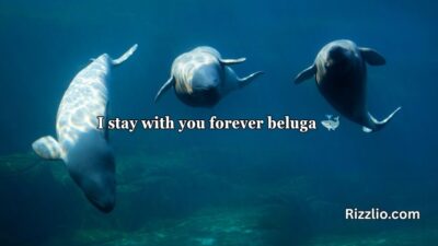 Beluga Pickup Lines