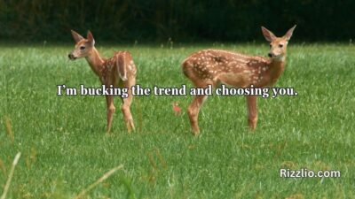 Deer Pick Up Lines