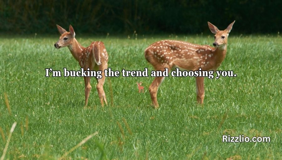 Deer Pick Up Lines