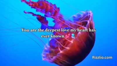Jellyfish Pickup Lines